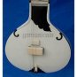 SITAR FUSION STUDIO WITH GIG BAG GSM036
