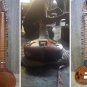 SITAR ELECTRIC FUSION WITH GIG BAG GSM070