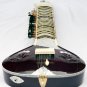 SITAR FUSION PEARL ELECTRIC WITH GIG BAG GSM014