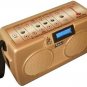 RADEL SAARANG MIRAJ PLUS ELECTRONIC TANPURA RAAGINI TAMBURA 3 YEARS WARRANTY