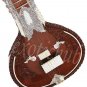 ELECTRIC SITAR~DESIGNER TUN WOOD~FREE! MIZRABS & STRING