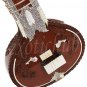 ELECTRIC SITAR~DESIGNER TUN WOOD~FREE!!! MIZRABS & STRING~