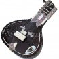 BUY ELECTRIC SITAR~RAVI SHANKAR STYLE~TUN WOOD~SITAAR~GIG BAG/MIZRAB/STRING EHS