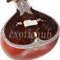 SITAR RAVI SHANKAR STYLE WITH FIBER BOX~CAN PLAY WITH HARMONIUM, TABLA, DILRUBA