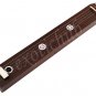 BOX TANPURA~TAMBORA~RAAGINI~TANPURI~SHRUTI~DRONE~GREAT SOUND~4 STRING EHS