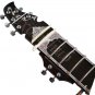 ELECTRIC SITAR~GUITAR TYPE~RAVI SHANKAR STYLE~FREE STRING~AND~MIZRAB~SITAR EHS