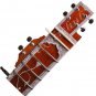 ELECTRIC SITAR~DESIGNER TUN WOOD~CAN PLAY WITH TABLA DRUM, SAROD~SITAR EHS