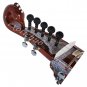 PEACOCK NECK DESIGNER DILRUBA~TUN WOOD~GEAR TUNING PEGS~DILROBA~STRING EHS