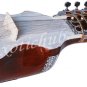 PEACOCK NECK DESIGNER DILRUBA~TUN WOOD~GEAR TUNING PEGS~DILROBA~STRING EHS