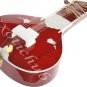 ELECTRIC SITAR~VILAYAT KHAN STYLE~HAND MADE~GREAT SOUND