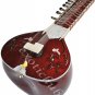MUNDA SITAR WITH FIBER BOX~RAVI SHANKAR STYLE~FREE STRINGS/MIZRAB/BOOK~SITAR EHS