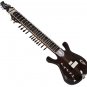 ELECTRIC SITAR~GUITAR TYPE~RAVI SHANKAR STYLE~FREE! STRING~AND~MIZRAB~SITAR EHS