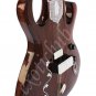 ELECTRIC SITAR~GUITAR TYPE~RAVI SHANKAR STYLE~FREE! STRING~AND~MIZRAB~SITAR EHS