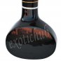 ELECTRIC SITAR~DESIGNER BLACK~PROFESSION​AL QUALITY~TRAVELER~FREE! STRING~MIZRAB