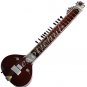 ELECTRIC SITAR WITH FIBER BOX~VILAYAT KHAN STYLE~PROFESSIONAL QUALITY