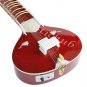ELECTRIC SITAR WITH FIBER BOX~VILAYAT KHAN STYLE~PROFESSIONAL QUALITY