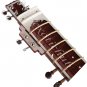 ELECTRIC SITAR WITH FIBER BOX~VILAYAT KHAN STYLE~PROFESSIONAL QUALITY