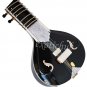 ELECTRIC SITAR~BLACK TUN WOOD~VILAYAT KHAN STYLE~GREAT SOUND~EASY TO CARRY
