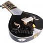 ELECTRIC SITAR~BLACK TUN WOOD~VILAYAT KHAN STYLE~GREAT SOUND~EASY TO CARRY