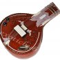 DESIGNER ELECTRIC SITAR~TUN WOOD~CAN PLAY WITH TABLA DRUM, SAROD, TANPURA,~EHS