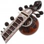 SITAR~SWAN NECK~DOUBLE TUMBA~FIBER BOX~RAVI SHANKAR STYLE~SAROD~CONCERT QUALITY