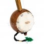 MAHARAJA&acirc;�&cent; TUMBI IK TAARA/TUN WOOD TOOMBI/1 STRING/PROFESSIONAL /HAND MADE/ACB-02