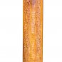 MAHARAJA&acirc;�&cent; TANPURI/PROFESSIONAL FLAT TANPURA/TAMBURI/TUN/CARVING/FF-02