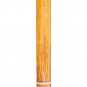 MAHARAJA⢠TANPURI/PROFESSIONAL FLAT TANPURA/TAMBURI/TUN/CARVING/FF-01