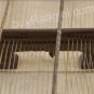 SARANGI/PRITAM SINGH SPECIAL HANDMADE SARANGI/DEDA MODEL/HORSE HAIR BOW/BCA-01