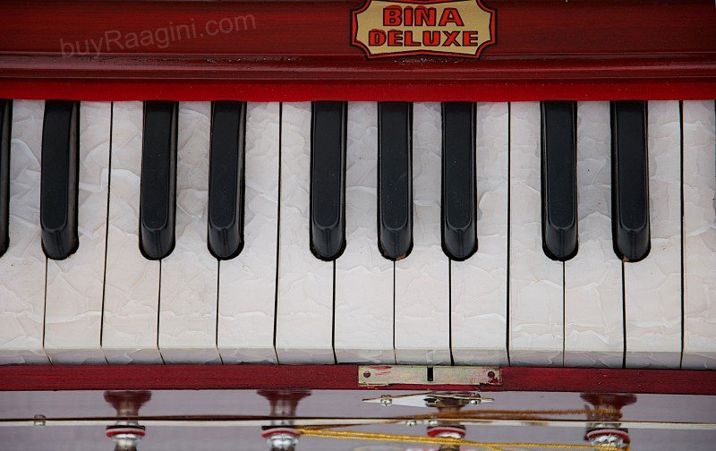 NEW BINA™ NO.9A HARMONIUM/COUPLER/42 KEY/INDIAN/3½ OCTAVES/MULTIFOLD