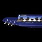 BULBUL TARANG PALOMA&acirc;�&cent;/BLUE COLOR/ELECTRIC BANJO/BENJO/INDIAN/FREE SHIP./BFE-01
