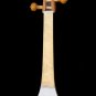 DESIGNER MAHARAJAâ„¢ MINI VEENA/PEACOCK NECK/5 BRASS STRINGS/NATURAL COLOR/EI-02