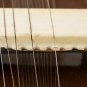 SITAR MAHARAJA/SITAR/MUNDA SITAR/GANDHAR PANCHAM/VILAYAT KHAN/FIBER TROLLEY/ACF