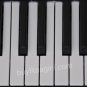 YAMAHA KEYBOARD PSR i455/SILVER COLOR/INDIAN KEYBOARD/CONCERT/FREE SHIPPING/EBF