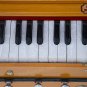 BINA&acirc;�&cent; NO.8  HARMONIUM/COUPLER FUNCT./39 KEY/NATURAL COLOR/3&Acirc;&frac14; OCTAVES/BAG/DJF-1