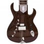 SITAR ELECTRIC BAWABROSâ„¢/VOL-TONE/GUITAR SHAPE/FREE SHIPPING/INDIAN/MIZRAB/EHE-1