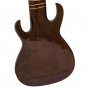 SITAR ELECTRIC BAWABROSâ„¢/VOL-TONE/GUITAR SHAPE/FREE SHIPPING/INDIAN/MIZRAB/EHE-1