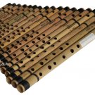 18 BANSURI MAHARAJA™/INDIAN BAMBOO FLUTE/FF to A#/BANSARI/FLUTES FOR SALE/ABE-2