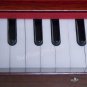 MKS HARMONIUM/HARI NAAM HARMONIUM/HARE KRISHNA/A440/32 KEY/EXCELLENT QUALITY/DHC