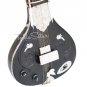 MAHARAJA&acirc;�&cent; ELECTRIC SITAR/FLAT SINGLE TUMBA/BLACK CLR/SPL MAHARAJA&acirc;�&cent; TUNING/IA-01