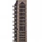 ESRAJ MKS/NEW TAAR SHEHNAI ESRAJ/ISRAJ/DARK WOOD/ESSRAJ/MIZRAB/FIBER CASE/EAH-2