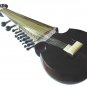PRO-GRADE TRADITIONAL BLACK SAROD INDIAN LUTE w WOODEN TABLI FANTASTIC ACOUSTICS