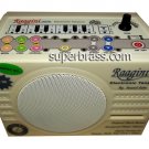 RAAGINI / RAGINI INDIAN DIGITAL ELECTRONIC TANPURA TAMBURA NICE PLASTIC RUBBISH RAAGINI / RAGINI INDIAN DIGITAL ELECTRONIC TANPURA TAMBURA NICE PLASTIC RUBBISH