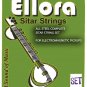 ULTRA QUALITY INDIAN SITAR STRING COMPLETE SET GERMAN ROSLAU STEEL & BRONZE. FAST DELIVERY