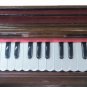 Original BINA Dulcetina 31/2 Octave Full Function Ultra Portable India HARMONIUM