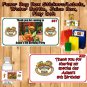 Dinosaur Train Birthday 1 Sheet Favor Water Bottle Stickers Labels Personalized