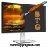 suetracygraphics