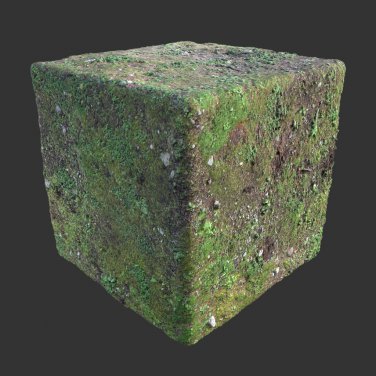 Forest Floor PBR Texture 6k