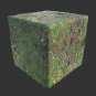 Forest Floor PBR Texture 6k