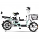 Family electric bicycle Tailg Family electric bicycle Tailg